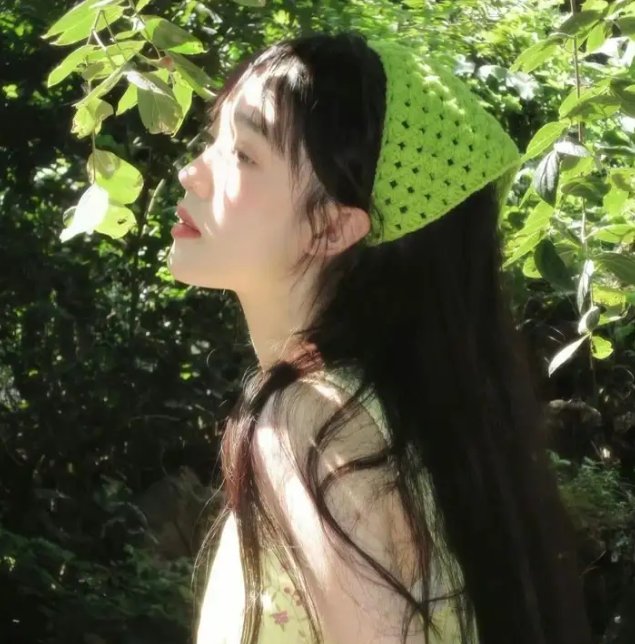 亲爱的总统夫人